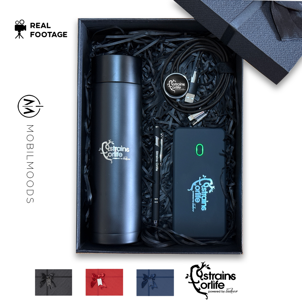 Company Logo Affordable Gift Box, Corporate Client Holiday Gift Box, Personalized Employee Gift Box, Business Logo New Year Gift Box (Copy)