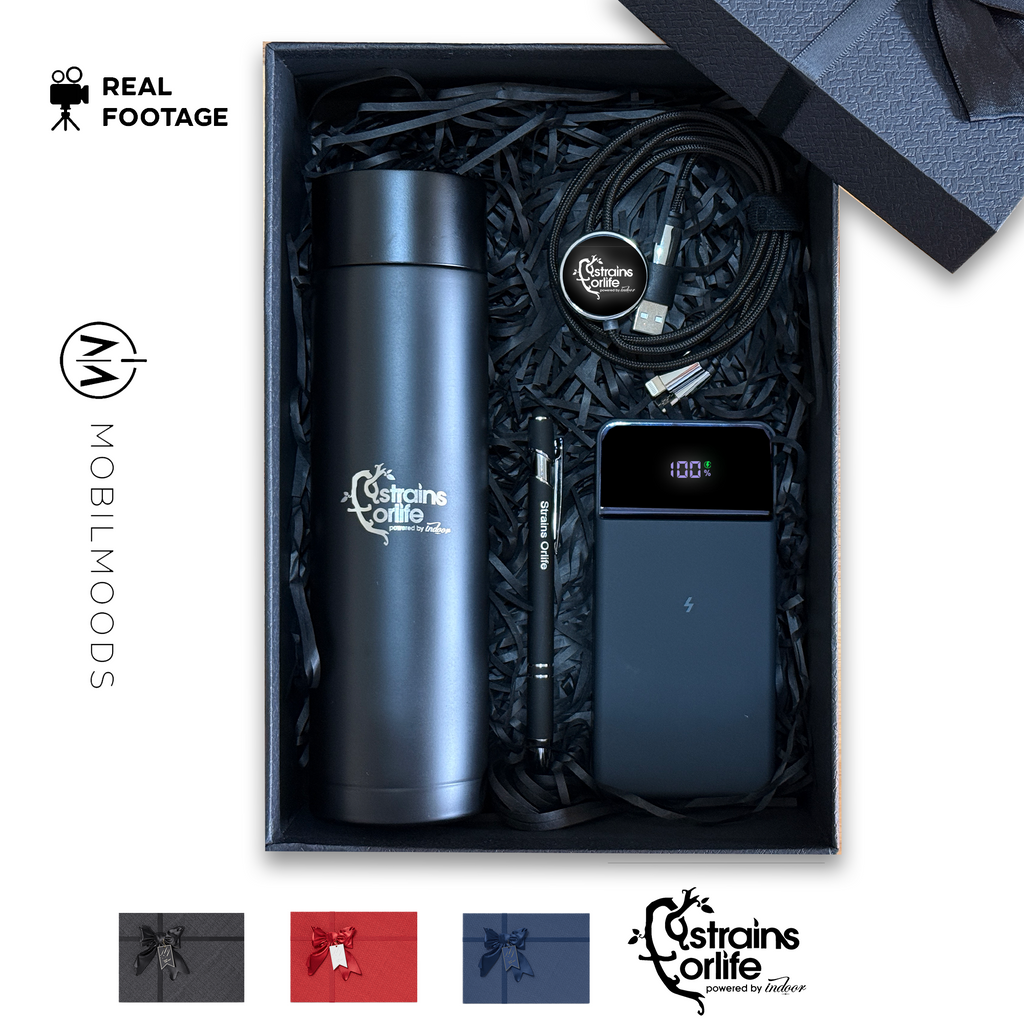 Company Logo Affordable Gift Box, Corporate Client Holiday Gift Box, Personalized Employee Gift Box, Business Logo New Year Gift Box (Copy)