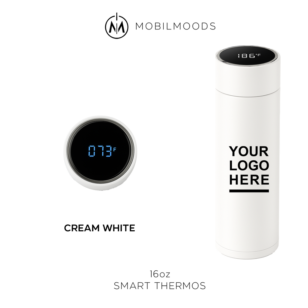 Company Team Meeting Gift Box, New Employee Gift Box, Corporate Client Gift Box, New Hire Welcome Gift, Custom Logo Holiday Gift Box