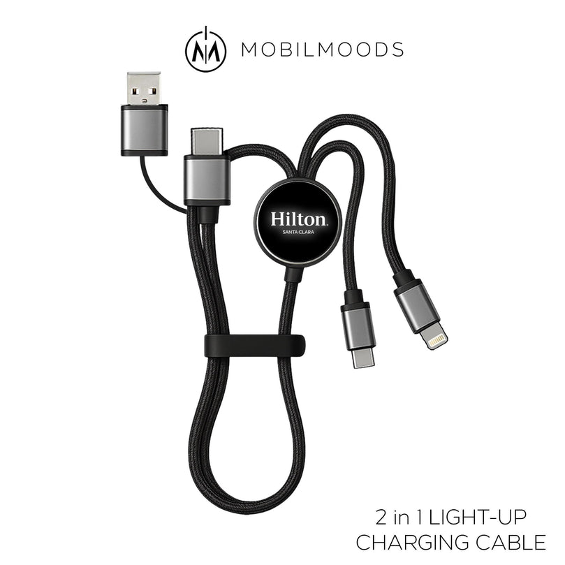 Personalized Affordable Company Giveaway Gift, Corporate Logo Phone Charger, USB-C Input / Output Charging Cord, Bulk Order Event Gift,