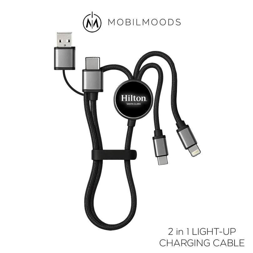 Personalized Affordable Company Giveaway Gift, Corporate Logo Phone Charger, USB-C Input / Output Charging Cord, Bulk Order Event Gift,